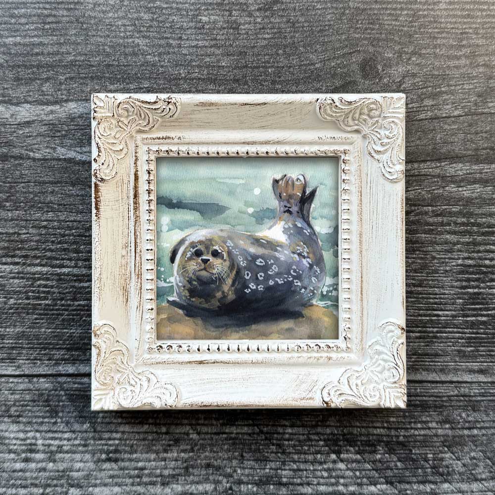 Chonky Boi