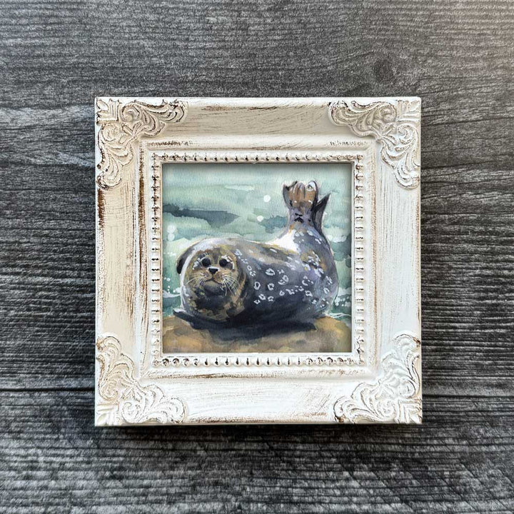 Chonky Boi