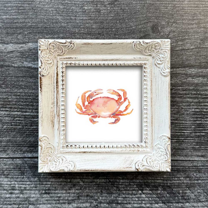 Crab Mini