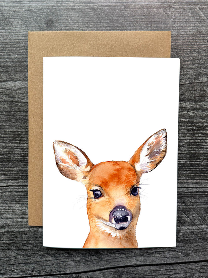 Fawn