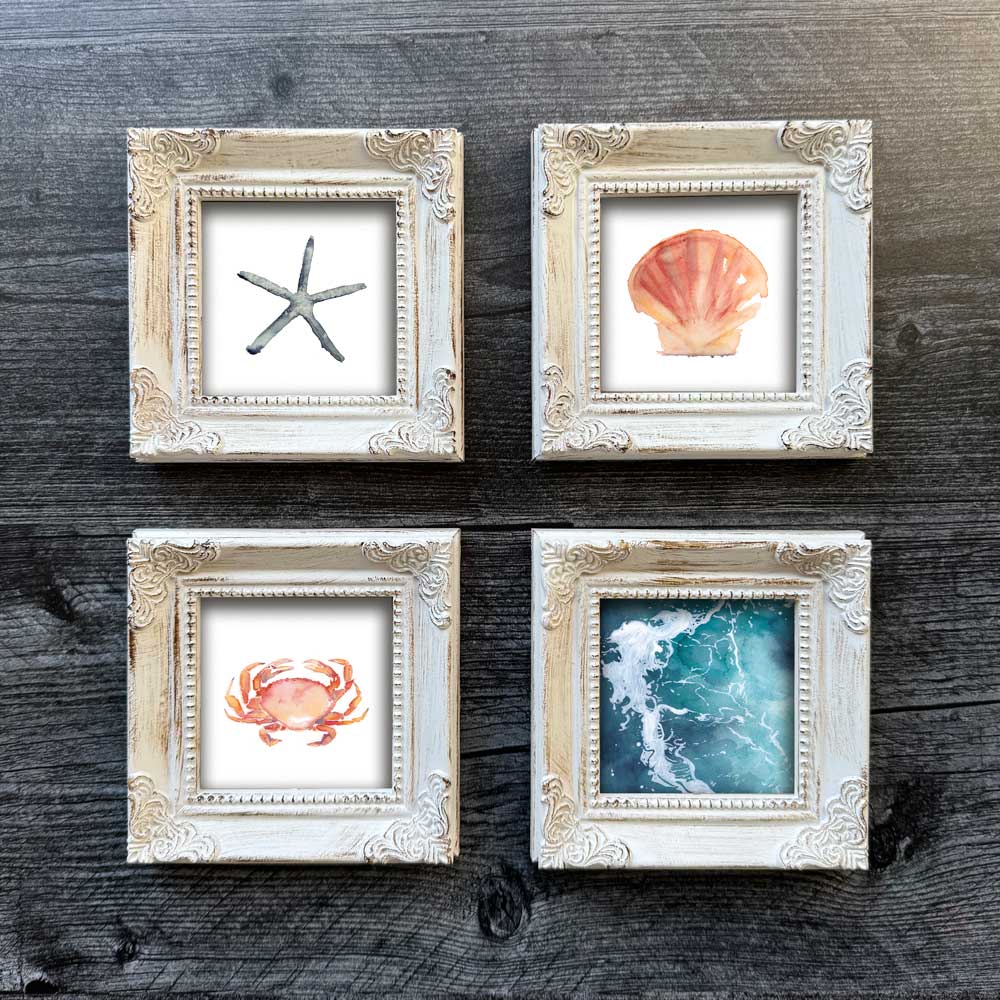 Crab Mini