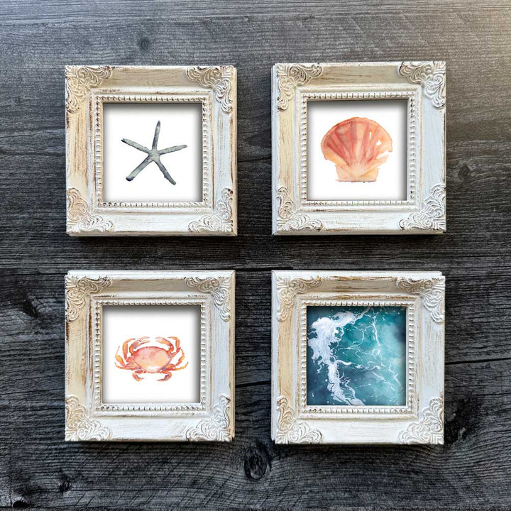 Crab Mini