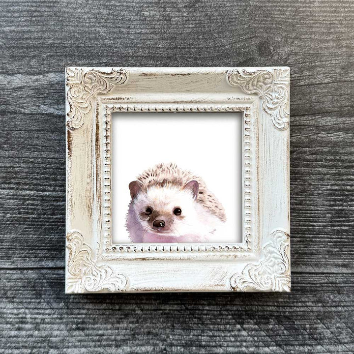 Hedgehog Mini