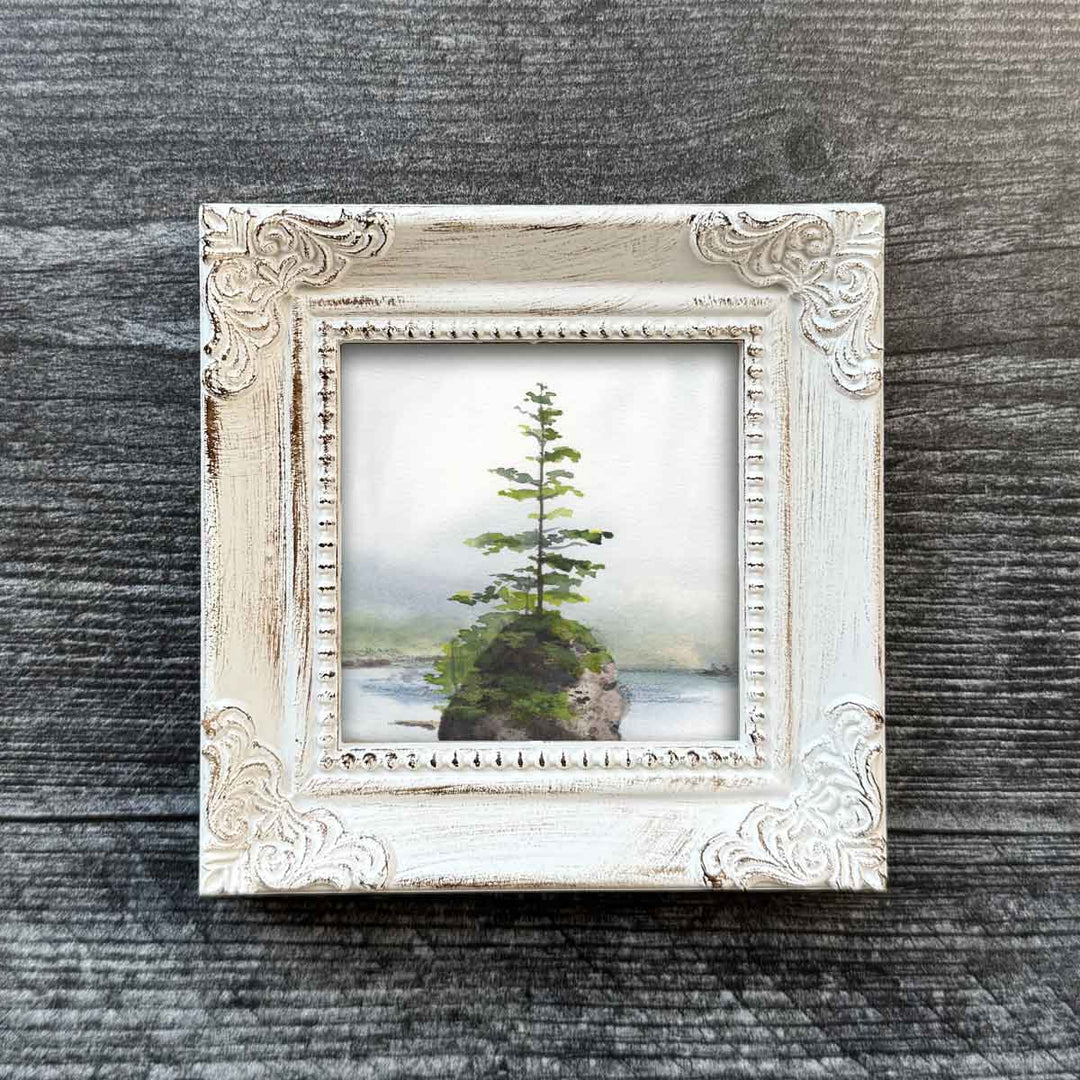 Lone Pine Mini
