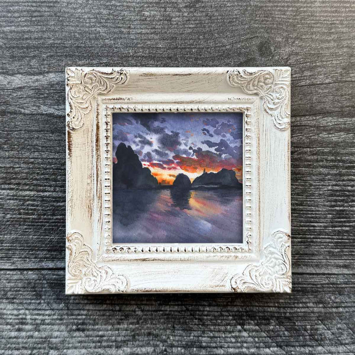 Olympic National Park Mini