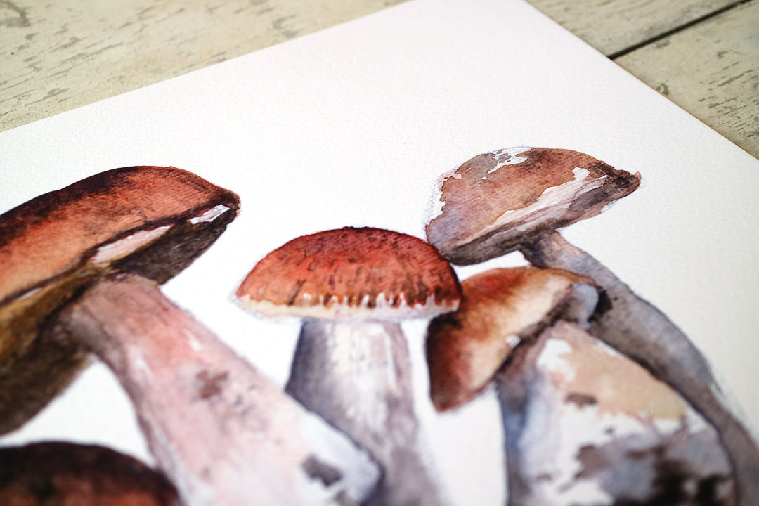 Porcini Mushroom Family