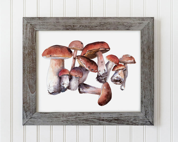 Porcini Mushroom Family