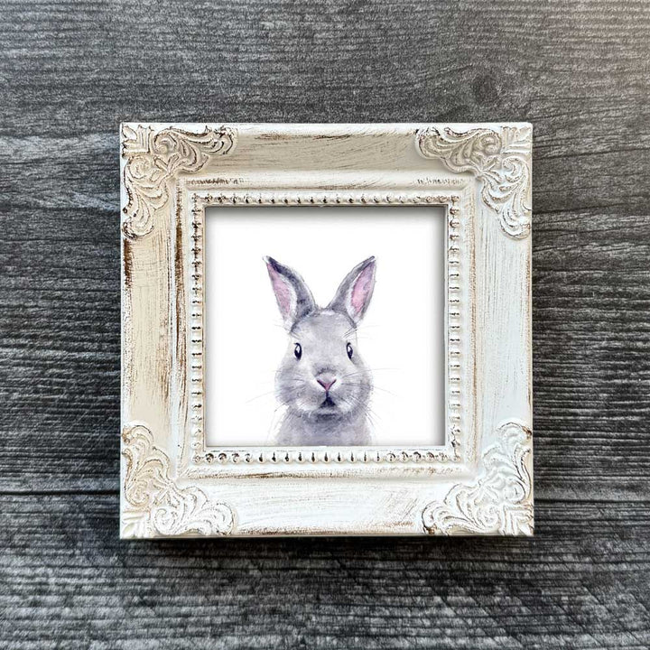 Bunny Buddy Mini