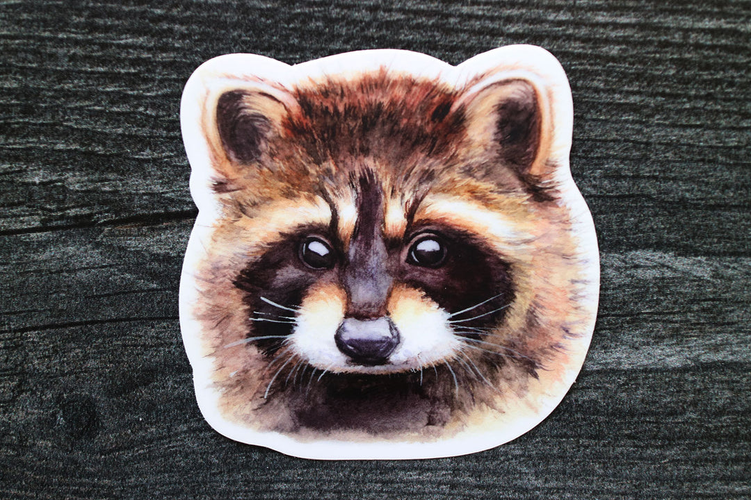 Rotund Racoon Rocks Painted Like Raccoons Stone Critters Littles Raccoon Figurine