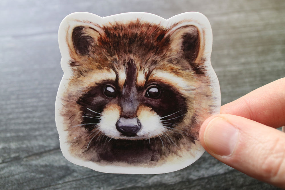 Rotund Racoon Stickers – Jennifer Elizabeth Studios