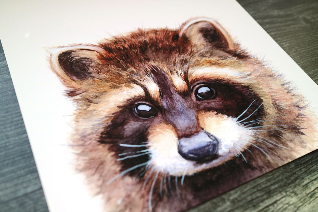 Rotund Racoon Rotund Raccoon – Jennifer Elizabeth Studios