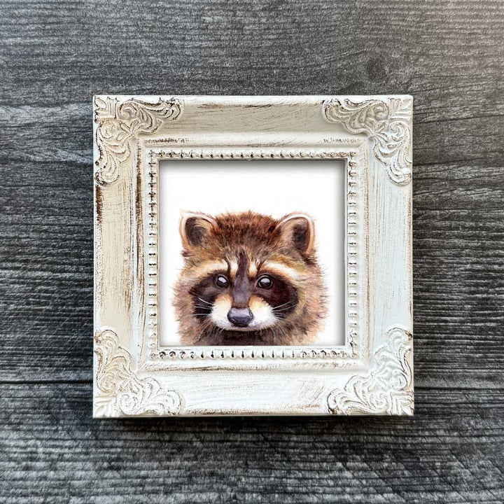 Racoon Mini