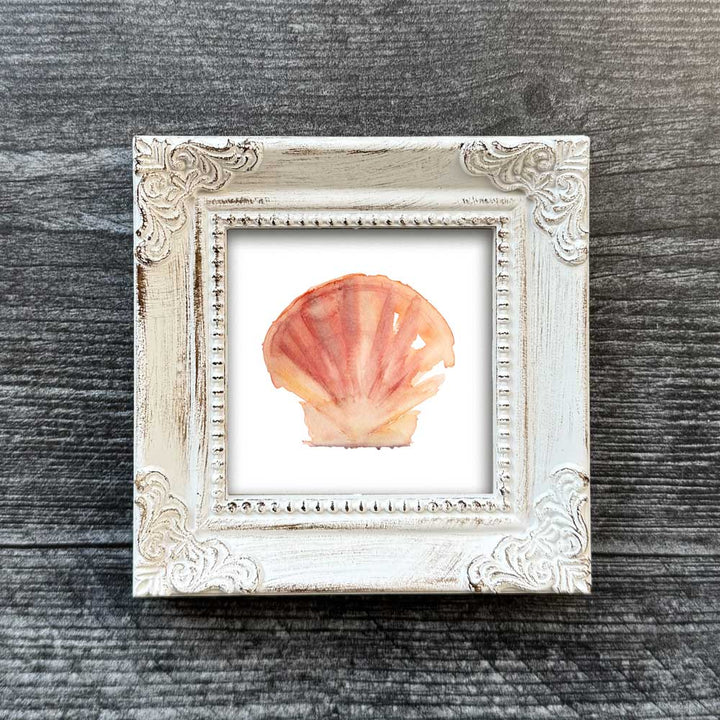 Seashell Mini
