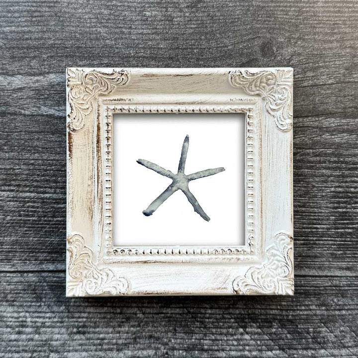 Sea Star Mini