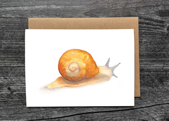 Snail