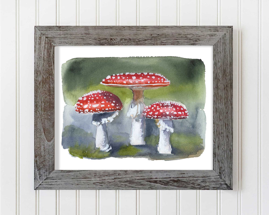 The Fairy Ring